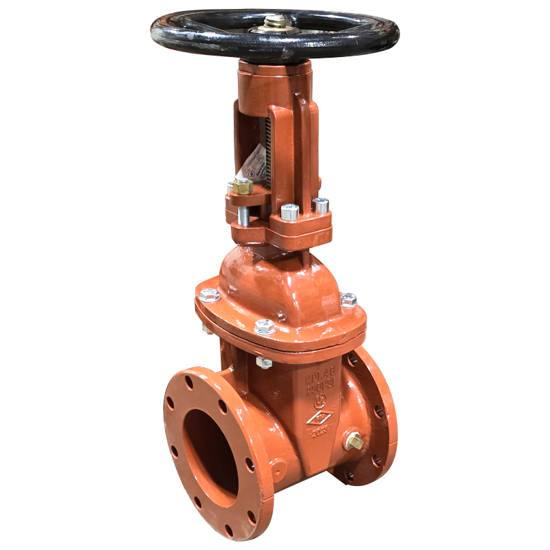 Zurn Wilkins 48OSY Resilient Wedge Gate Valve, Open Stem & Yoke, Flange x Flange Connection